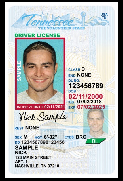 renew drivers license tn online