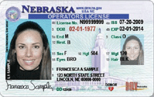 renew drivers license tn online